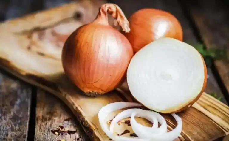 معجزة.. البصل يعالج كل هذه الأمراض