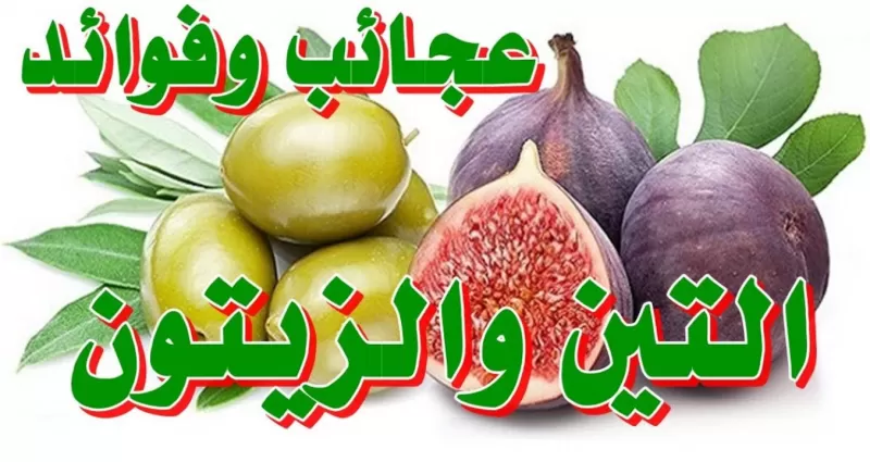 فاكهة الأنبياء والرسالات السماوية الثلاثة معجزة حقيقية ستغير حياتك