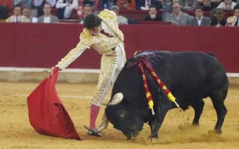 حظر مشاركة مصارعو الثيران الأقزام في العروض الترفيهية