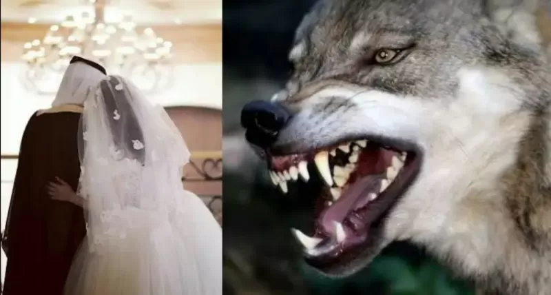 سعودي خطط بطريقة شيطانية لليلة دخلته وما فعله بعروسته اصابها بالجنون وادخلها المصحة النفسية لسنوات