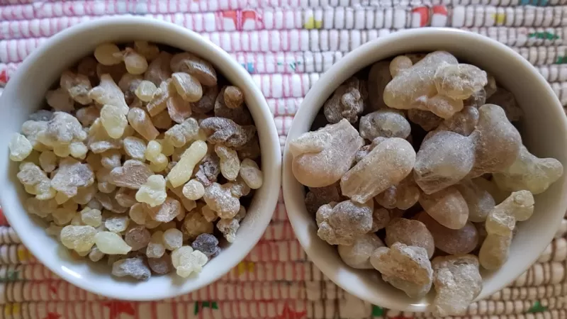 بالفيديو: لماذا يجب عليك تبخير بيتك بلبان الذكر؟