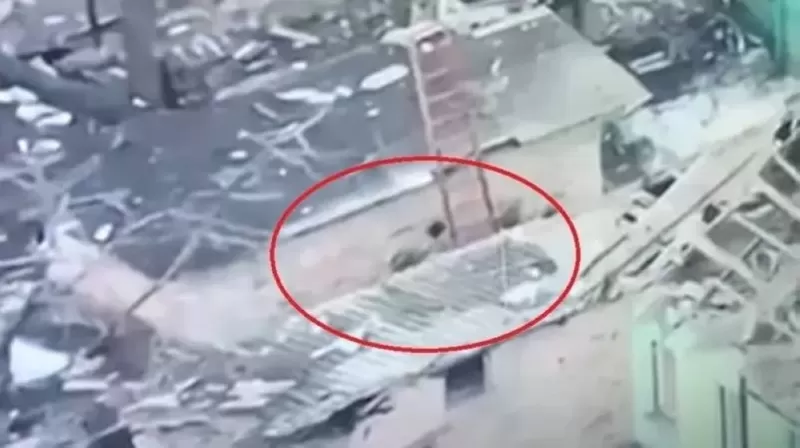 معلومة تنشر لأول مرة عن شال ولي العهد الامير محمد بن سلمان