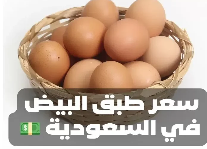ارتفاع جديد لسعر طبق البيض اليوم في السعودية