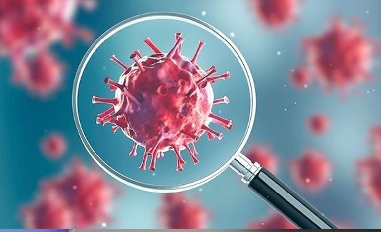 تسجيل حالة إصابة جديدة بكورونا في المهرة