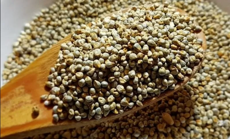 هذا الطعام المهمل يغنيك عن الأنسولين : يخفض نسبة السكر في الدم فورا ويحفز إفراز هرمون الأنسولين و يساعد على انقاص الوزن | تعرف عليه!