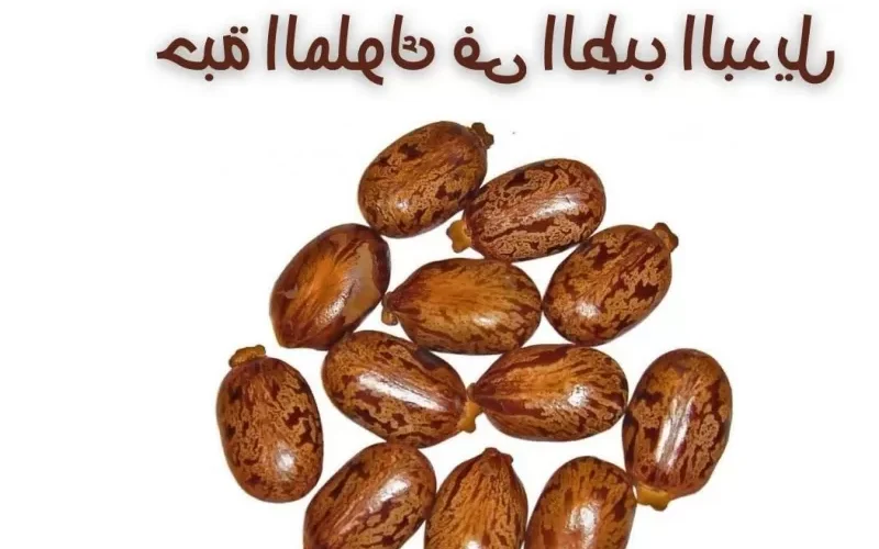 هذه العشبة التي ينصح بها الاطباء لعلاج النقرس والتهاب المفاصل وانسداد الامعاء وتحسين جودة النوم