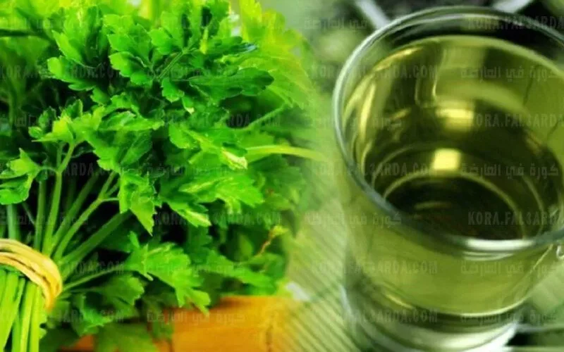 حقيقة ما يفعله منقوع البقدونس في جسمك عند تناوله على الريق