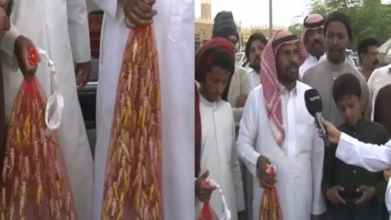 بالفيديو:: كيلو الجراد بسعر 450 ريال سعودي ..