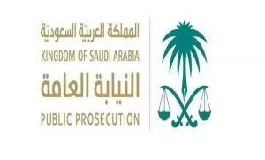 قد تصل لغرامة نصف مليون ريال سعودي عند استيرادك لاحد هذه المواد دون تصريح من النيابة العامة في السعودية