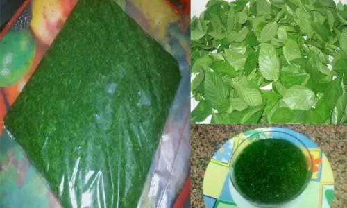 اسرار الملوخية