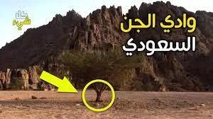 مواطن سعودي قدم له الجن ذبيحة بعدما نفذ طعامه وشرابه في الصحراء.. والصدمة في نوعها!