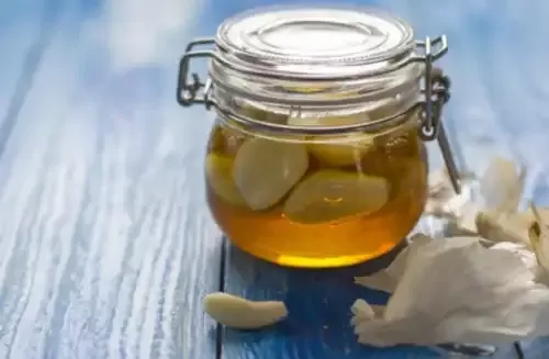 فوائد عظيمة لخل الثوم وهكذا تستطيع صنعه في المنزل