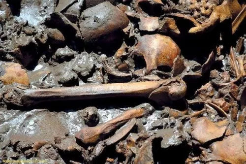 السلطات المصرية تكشف حقيقة العثور على جيش فرعون الذي اغرقه الله في البحر الاحمر