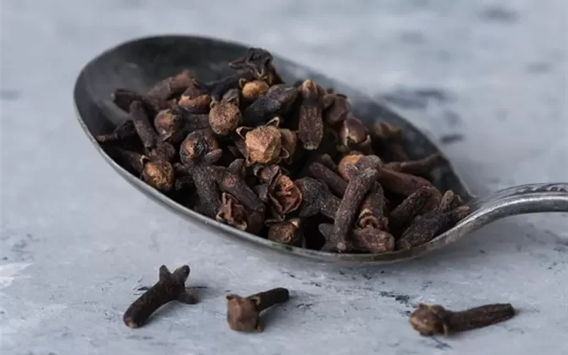 نصيحة من الاطباء.. ضع حبة قرنفل تحت لسانك لعلاج اكثر من عشرة امراض خطيرة