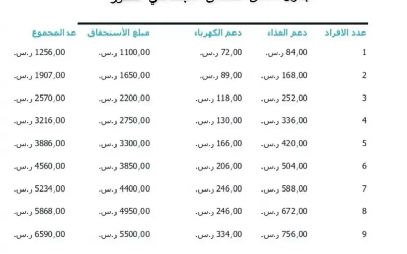 رسمياً: مضاعفة المساعدات والدعم المالي لهذه الفئات من السعوديين