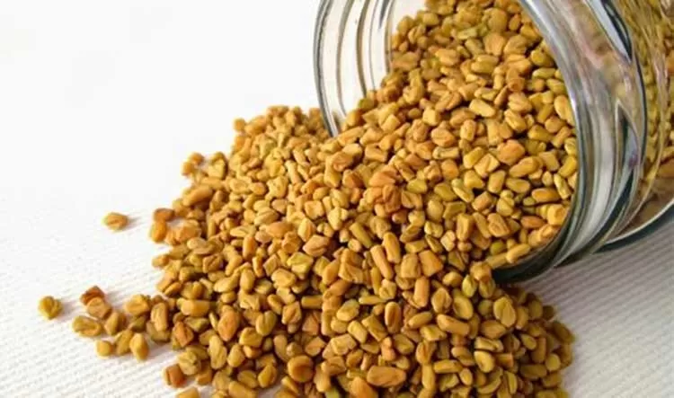 اطعمة لمرضى السكىري تخف الجلوكوز وتحفز افراز الأنسولين في الجسم بدون اي ادوية ولا حقن