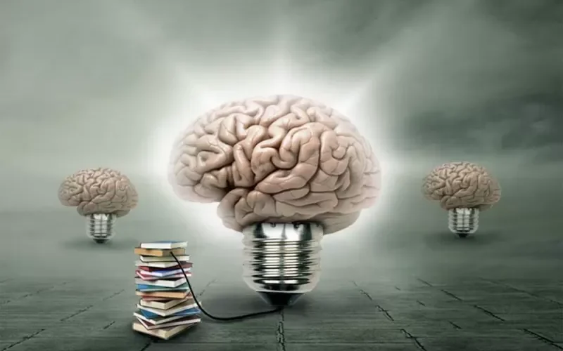 تغذى العقل وتنشط المخ وتمكنك التخلص من النسيان وعدم التركيز و تسرع الحفظ وتقوى الذاكرة في 7 ايام نتيجة خارقة لهذه المشروبات المذهلة .. !!.