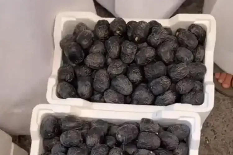 حراج على “عجوة المدينة” وسعر الصندوق يصل هذا الرقم (فيديو)