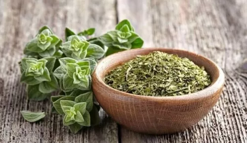 فوائد اقوى من الفياجرا للرجال تجدها في الزعتر