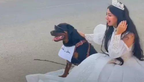 شاهد نجمة مصرية شهيرة في الكوشة وعريهسا كلب وتعلن انه سيدخل عليها الليلة وموقف صادم للازهر