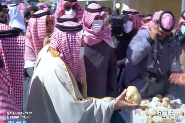 شاهد سعر فقع القصيم يصل الى خمسين مليون ريال سعودي