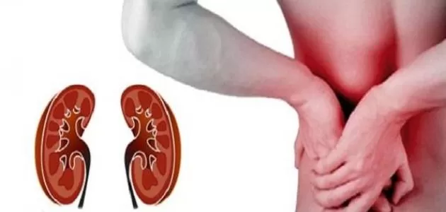 هاني الناظر بيحذر من اسباب الفشل الكلوي ونضائح هامة للحفاظ علي الكلي سليمة !!