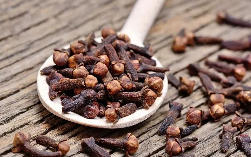 تأثير سحري على صحة الرجال فقط ضع حبات من القرنفل تحت لسانك كل يوم وشاهد النتيجة بنفسك
