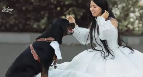 معلومات صادمة عن الفنانة المصرية  هبة مبروك التي اعلنت زواجها بالكلب وحكت تفاصيل ليلة دخلتها معه