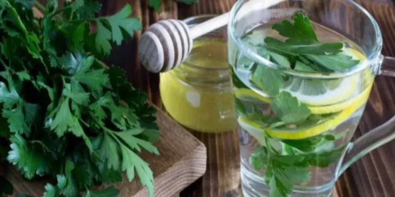 شاهد ماذا سيحدث في جسمك من بعد شرب كوب واحد من مغلي البقدونس