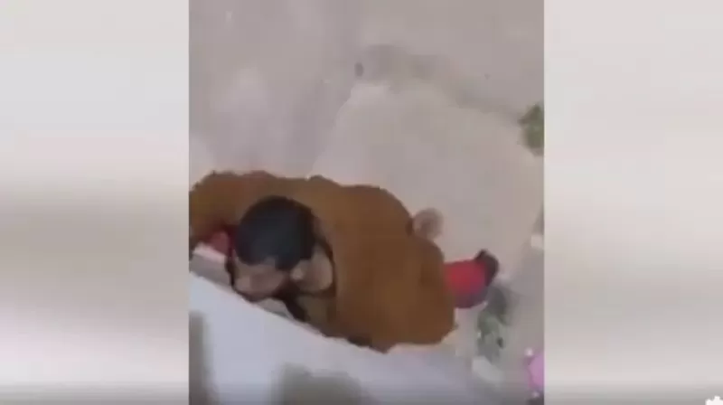 بالفيديو: فضيحة مدوية في حمامات جامعة سعودية