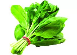 عشبة رخيصة الثمن تخلصك من مشاكل القولون والغازات وتحميك من سرطان القولون