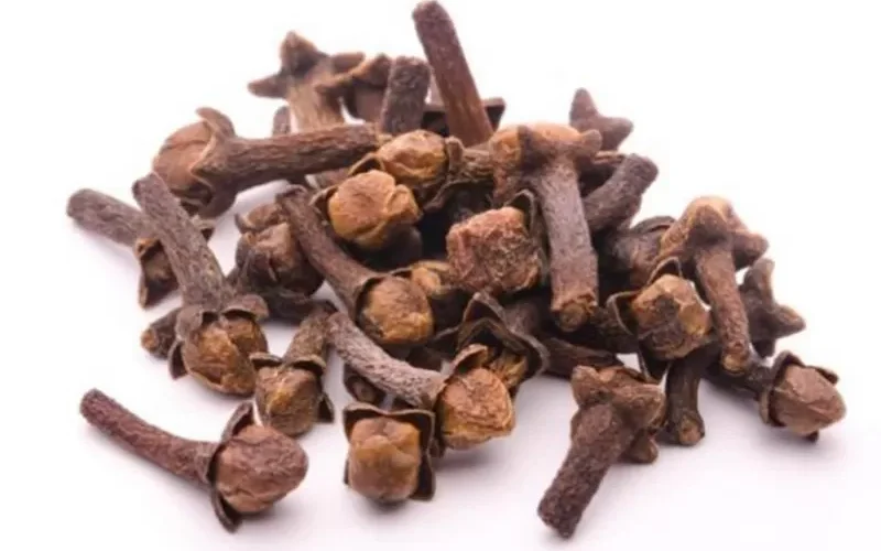 مضغ مسمارين من القرنفل قبل النوم ستغير حياتك وعلاج طبيعي مذهل لكل هذه الأمراض