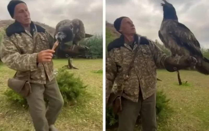 فيديو مرعب لنسر يبتلع ماعز في لقمة واحدة