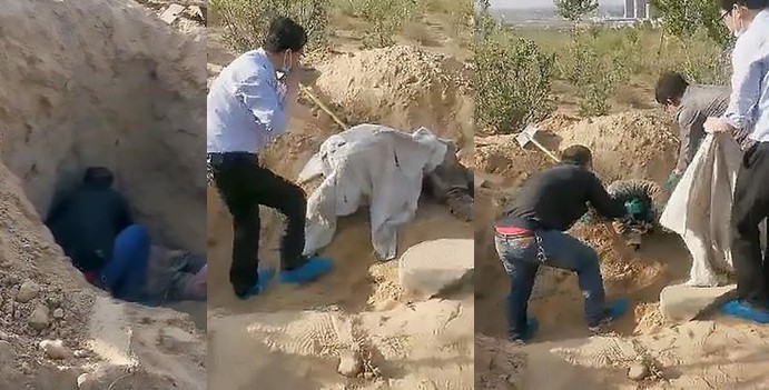 شاهد: رجل يدفن والدته في قبر مهجور وهي على قيد الحياة.. والكشف عن مصيرها