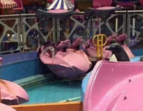 فيديو يوثق لحظة مقتل طفل في السعودية في حديقة ملاهي بطريقة مروعة