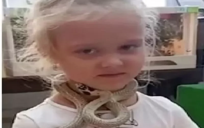 شاهد: حسناء فاتنة تلتقط صور مع أفعى وهي ملتوية حول عنقها ..وعندما أرادت إبعادها كانت الصدمة المروعة