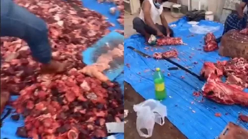 فيديو صادم لمعمل صنع لحوم في السعودية يتم فيه دهس اللحوم باقدام العمال قبل بيعها
