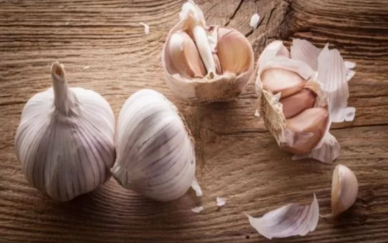 لن تصدق.. ماذا يحدث لجسمك عند تناول مغلي قشر الثوم؟