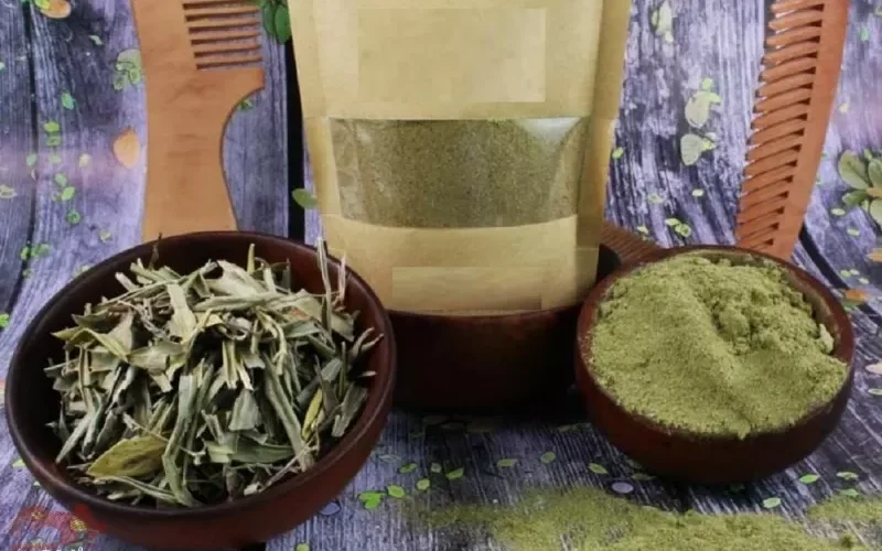 معجزة ربانية .. عشبة جبارة ورخيصة الثمن تعالج 40 مرض وتقوى الذاكرة والتركيز وتغذية المخ وتشفى السكر وتمنع الزهايمر .. تعرف عليها الان‏