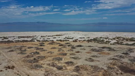شاهد رجال ونساء عراة تماماً في اشهر شواطئ المملكة وصور تصدم الجميع
