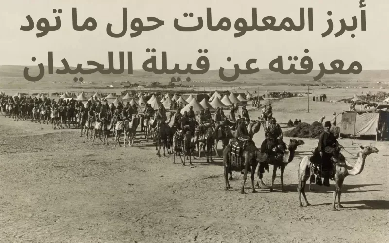 أبرز المعلومات حول ما تود معرفته عن قبيلة اللحيدان