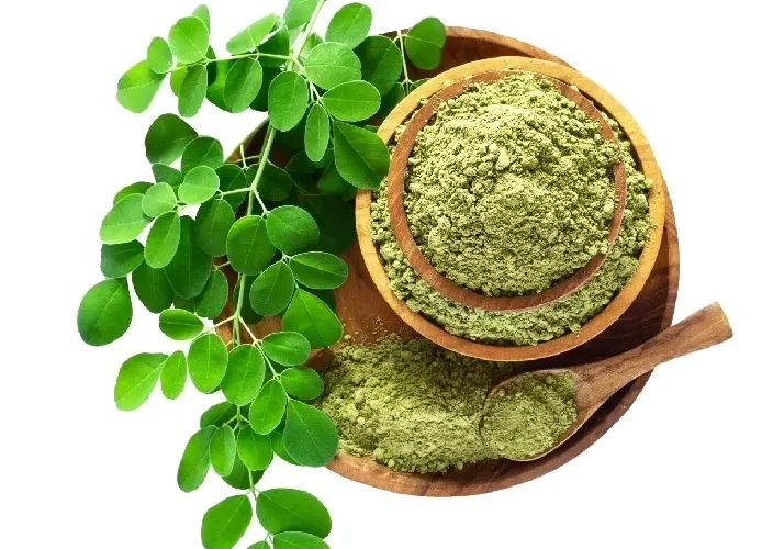 معجزة ربّانيّة.. أوراق هذه الشجرة تقلِّص معدلات السكر والكوليسترول وتحمي الكبد وتقوي العظام وتضبط الوزن وتحسّن المزاج وعمل الجهاز العصبي !