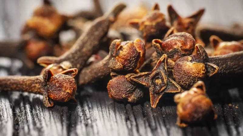 الاطباء يكشفون عن  طرق استخدام  «القرنفل» لعلاج السكري والعظام وقرحة المعدة وأمراض أخرى لا تتوقعها؟