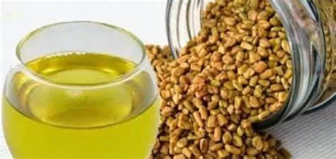 ما هي فوائد مشروب الحلبة على الريق؟