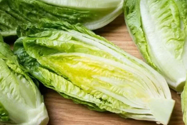 كيف تستخدم الخس لاعادة شبابك