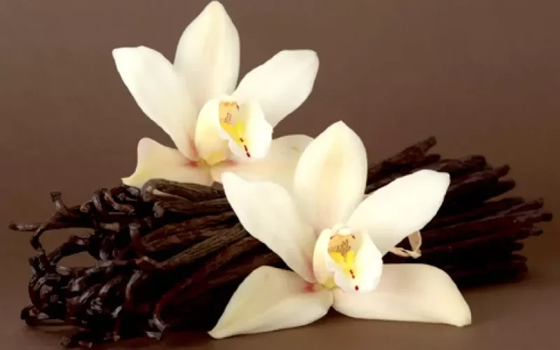 منها قشر الليمون أو البرتقال.. بدائل الفانيليا السائلة في الحلويات !!