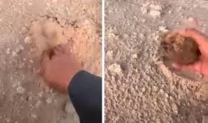 شاهد: كويتي ينبش القبور بحثاً عن الفقع