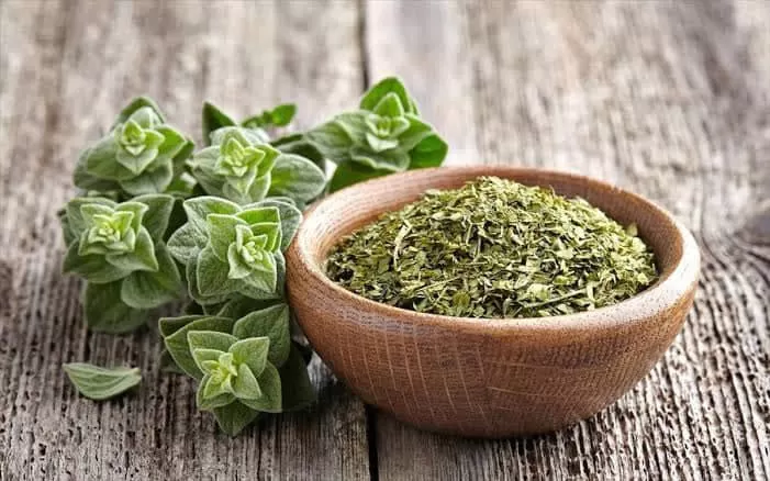 الزعتر مع السمسم وجبة رخيصة الثمن لكن فوائدها تساوي وزنها ذهب