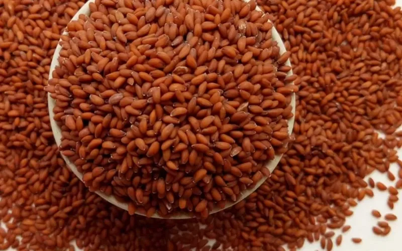 تخلص من عدم انتظام السكري مع هذه النبتة الطبيعية رخيصة الثمن