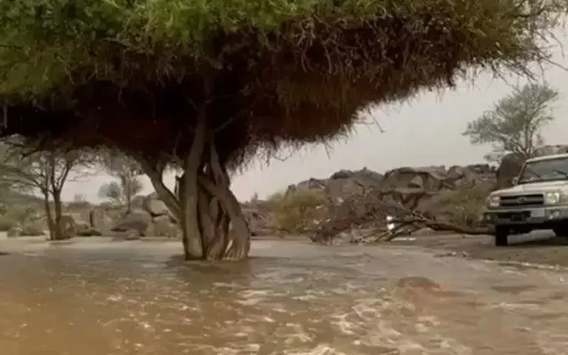 بالفيديو: مشاهد مذهلة لامطار غزيرة وسيول في الطائف